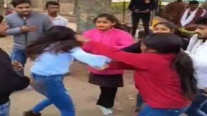 cat_fight__17055652468520289287273870741