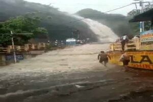 flod6531669042072634159