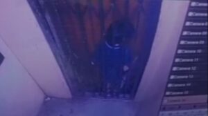 fydcpe0oer2072411918623840515