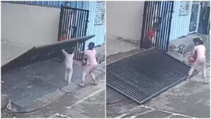 66aba56c664d2-metal-gate-fell-on-girl-child-01103511-16x94963930602531019420