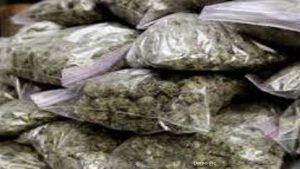 13_12_2022-ganja_smuggler_arrested697091860009026984