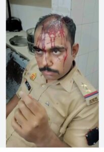 img_20241024_1358461535797145055853185