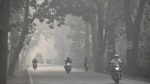 14_11_2024-fog_news_238307846440768670796543339