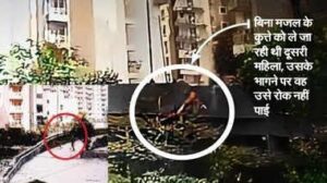 greater-noida-west-dog-attack-woman-critical-news-1209151015008838888269852595